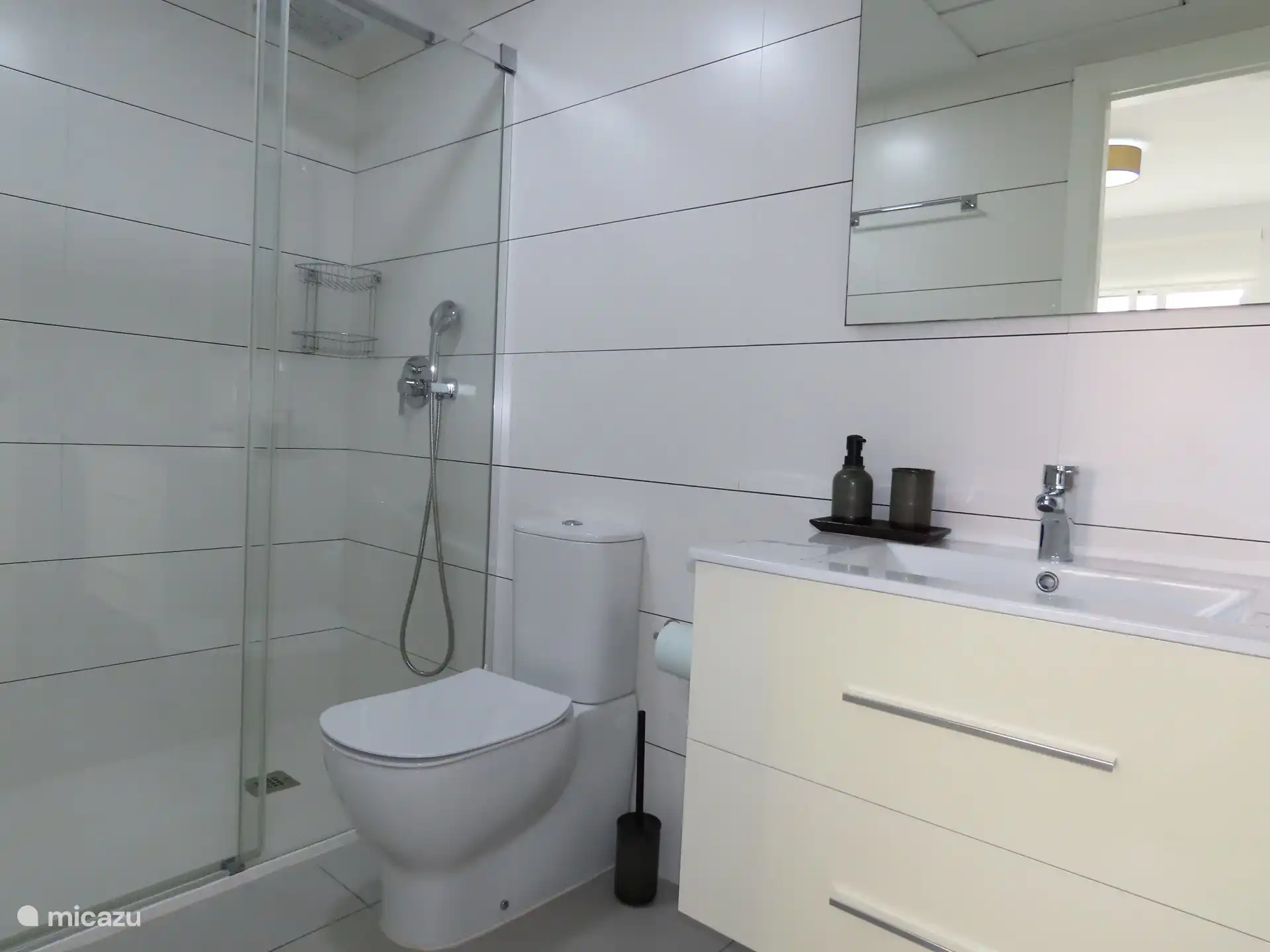 Salle de bain avec douche et toilettes