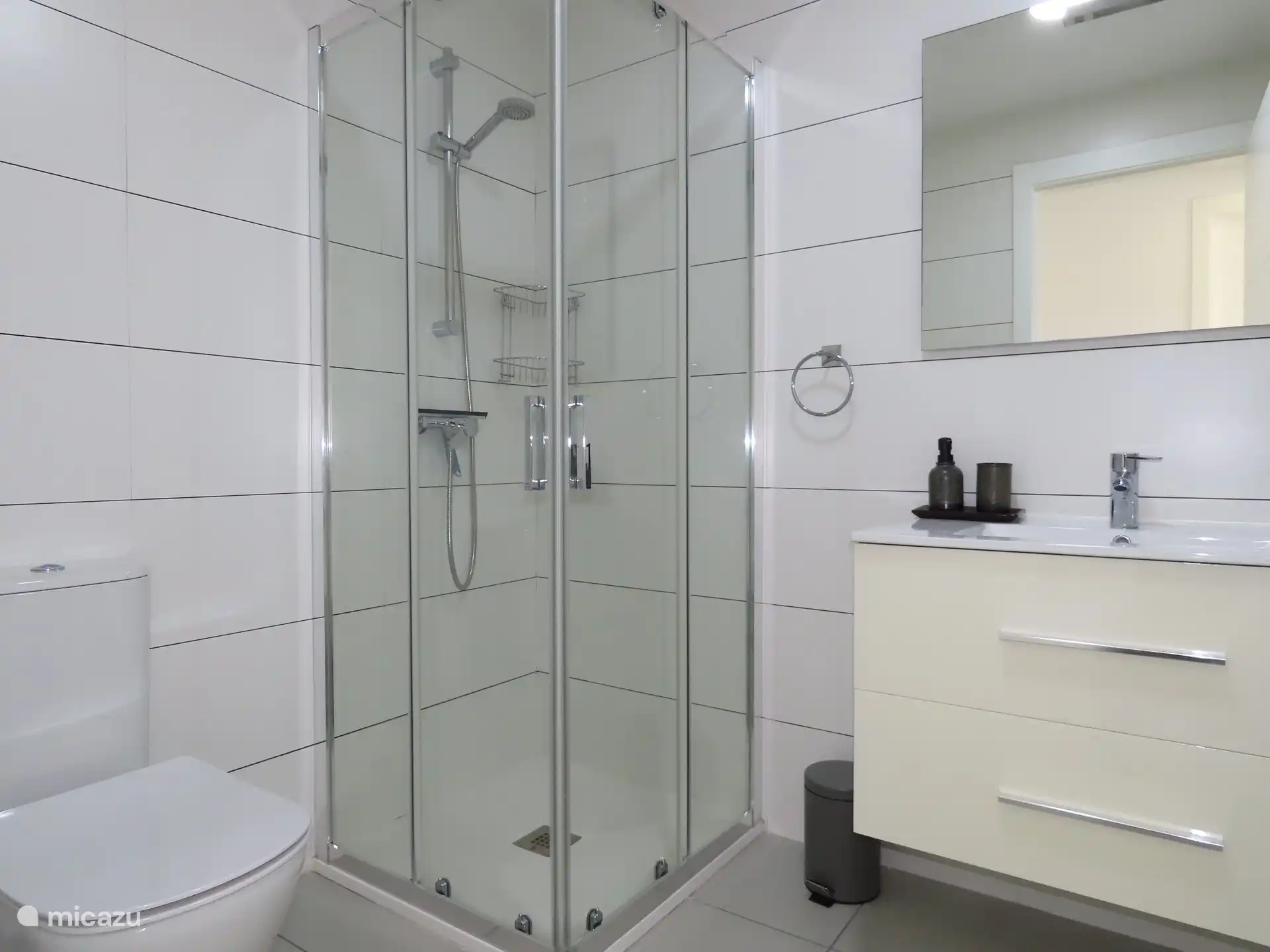 Salle de bain avec douche et toilette