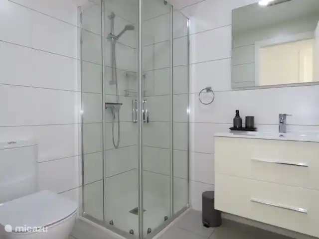 Penthouse Vue Mer Plage El Pinet | Espagne, Costa Blanca, La Marina del Pinet - appartement Salle de bain avec douche et toilette
