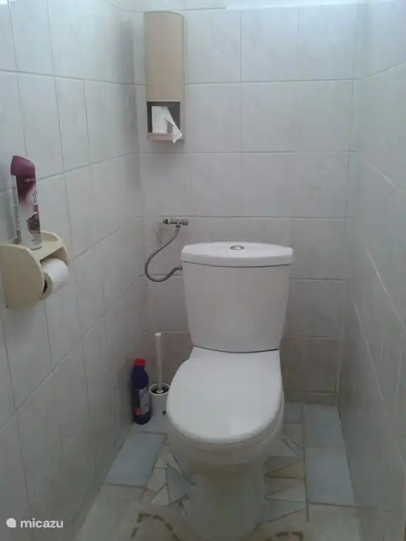 Toilet upstairs apartment