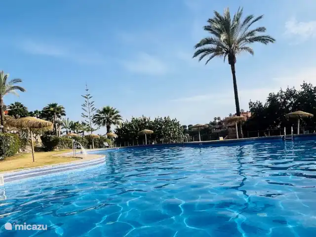 Location de Vacances Espagne, Costa del Sol, Marbella, penthouse - Penthouse Marbella Jacuzzi & vue mer Pool 3 (partagé)