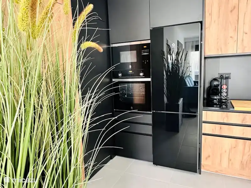 Casa Sol Y Sal | Espagne, Costa Blanca, San Miguel de Salinas - Appartement Casa Sol Y Sal | Espagne, Costa Blanca, San Miguel de Salinas - Appartement