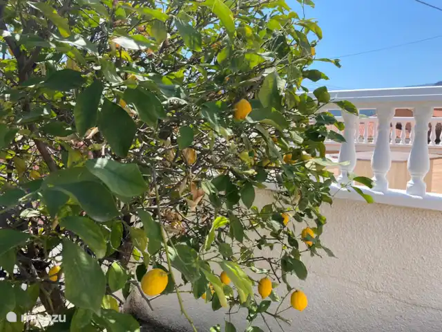 Casa La Frontera en España, Costa Blanca, Orba - villa Prospecto