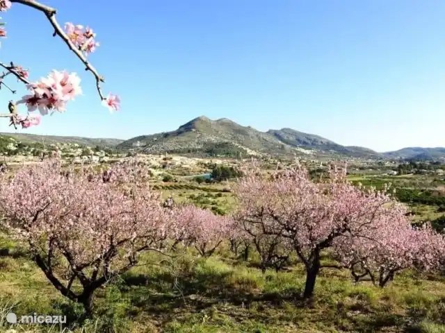 Casa La Frontera en España, Costa Blanca, Orba - villa Prospecto