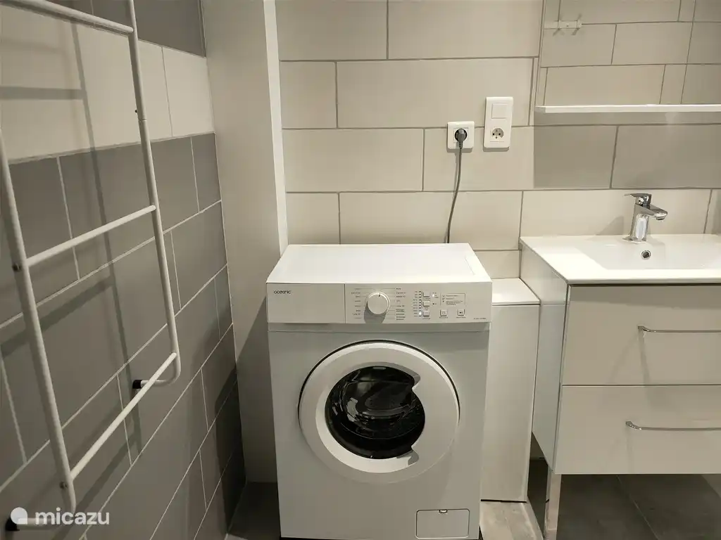 Badkamer: wasmachine, wastafel, spiegel, handdoekenrek.