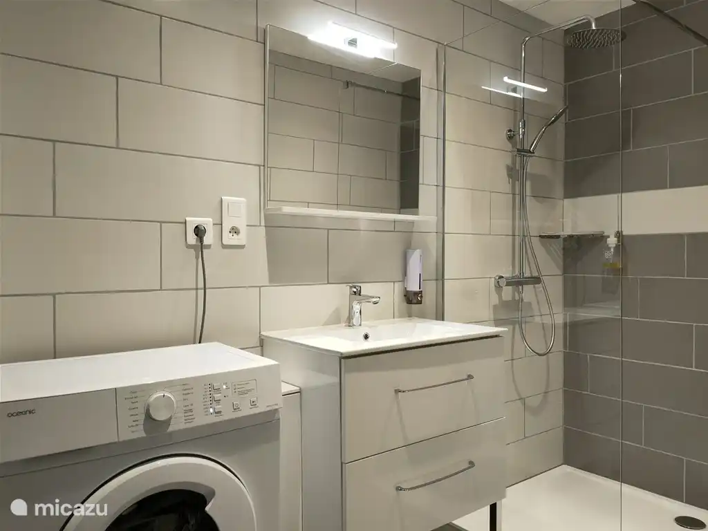 Badkamer: wasmachine, wastafel, spiegel, Italiaanse douche.