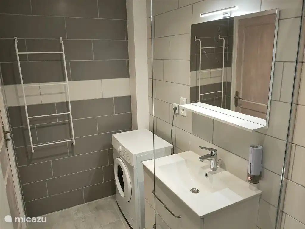 Badkamer: wastafel, spiegel, wasmachine, handdoekenhouder.