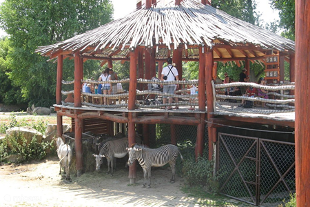Zoo Dvur Králové nad Labem