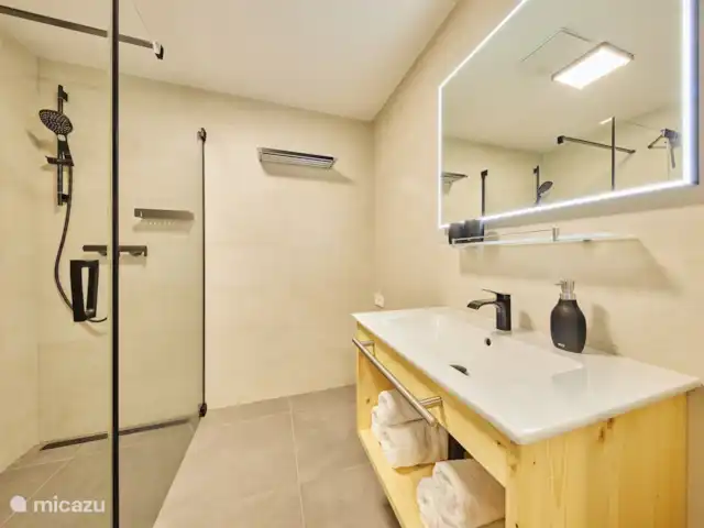 Krakonos residence 4-2 huren in Tsjechië, Hradec Králové, Pec Pod Snezkou - appartement Badkamer