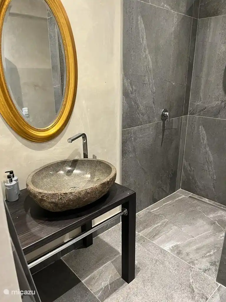 Salle de bain privée avec douche, toilettes et lavabo dans la quatrième chambre (studio)