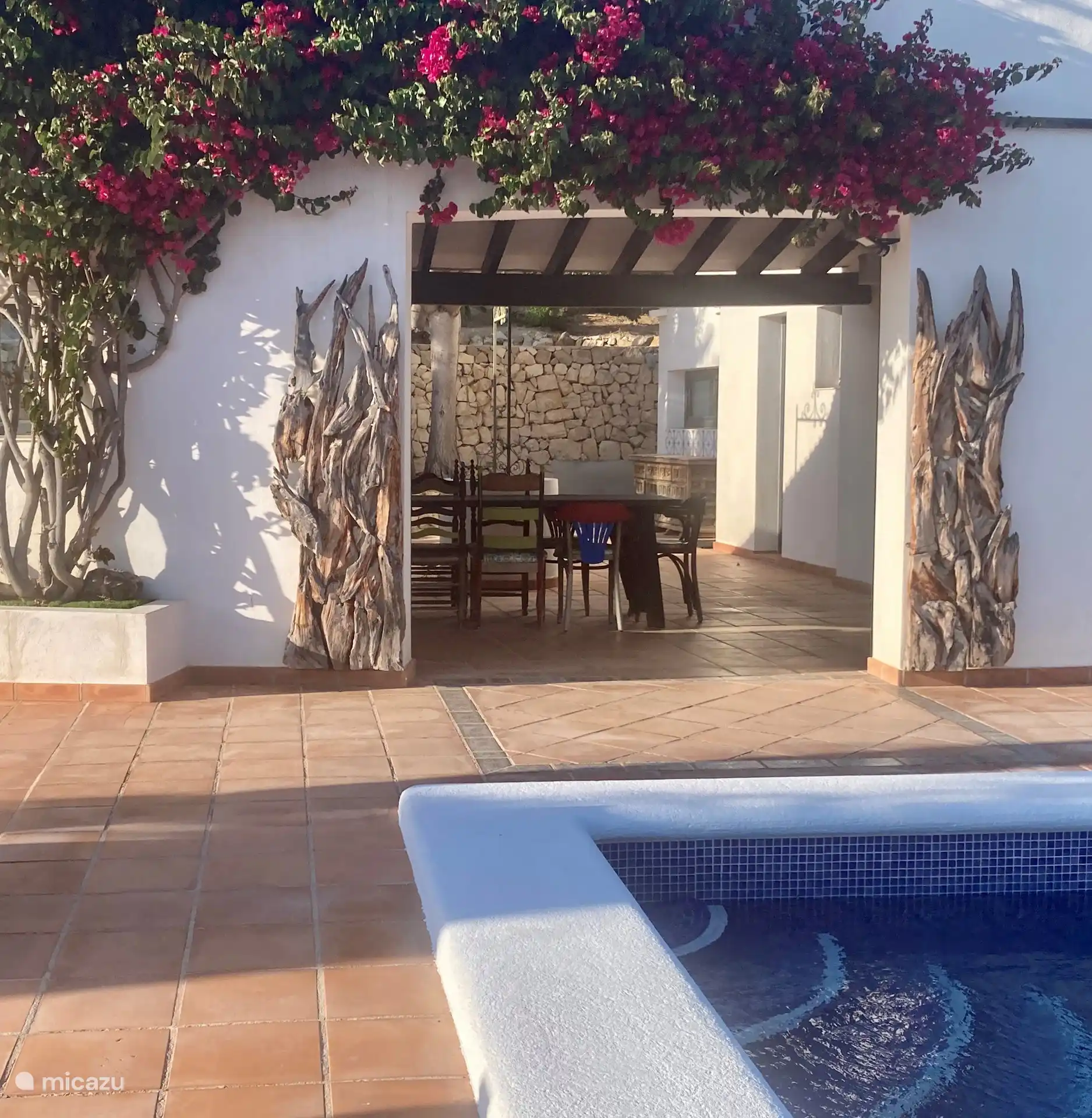 Tout ce que vous voyez sur les photos est pour vous.