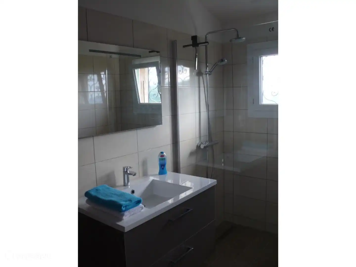 Geräumiges Badezimmer mit Regen- und Handbrause und Waschbecken