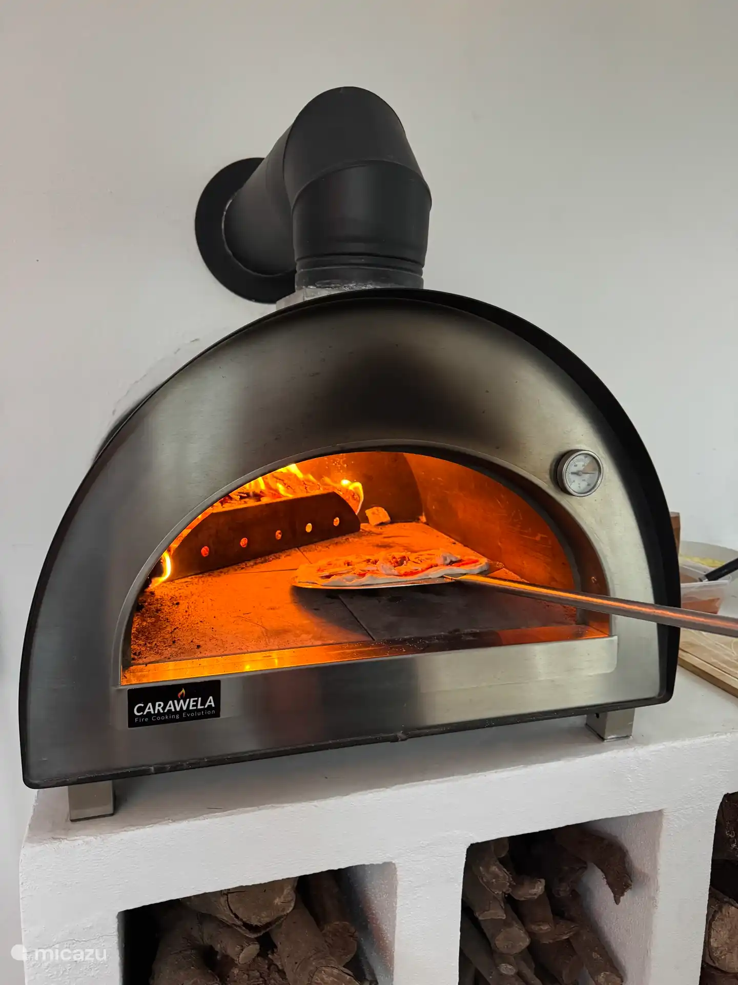 Four à bois à pizza