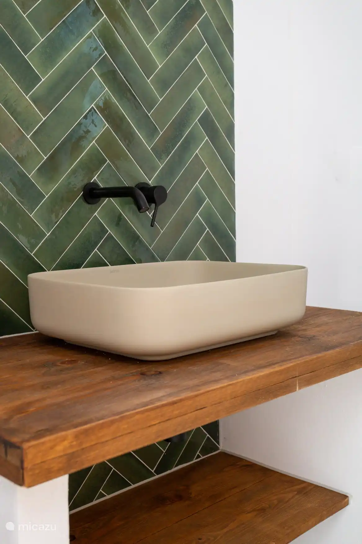 Toilet + hondenwasbak