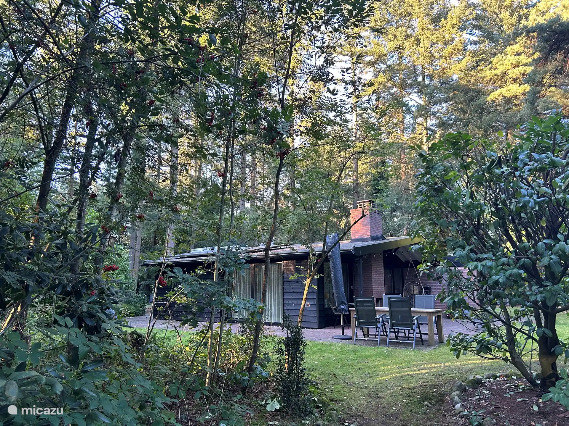 ferienhaus, Giethmen, Overijssel, Niederlande - Haus 162