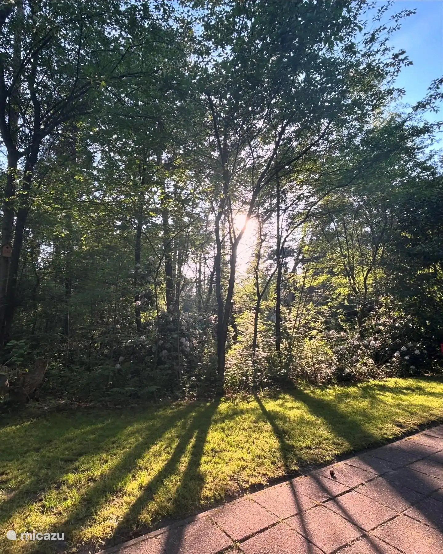 Seite des Hauses, Blick aus dem Wohnzimmer