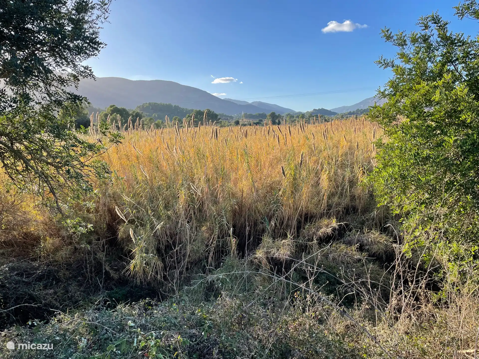 Put on your hiking boots and trek and take a trip in the valley. Marked walks. 