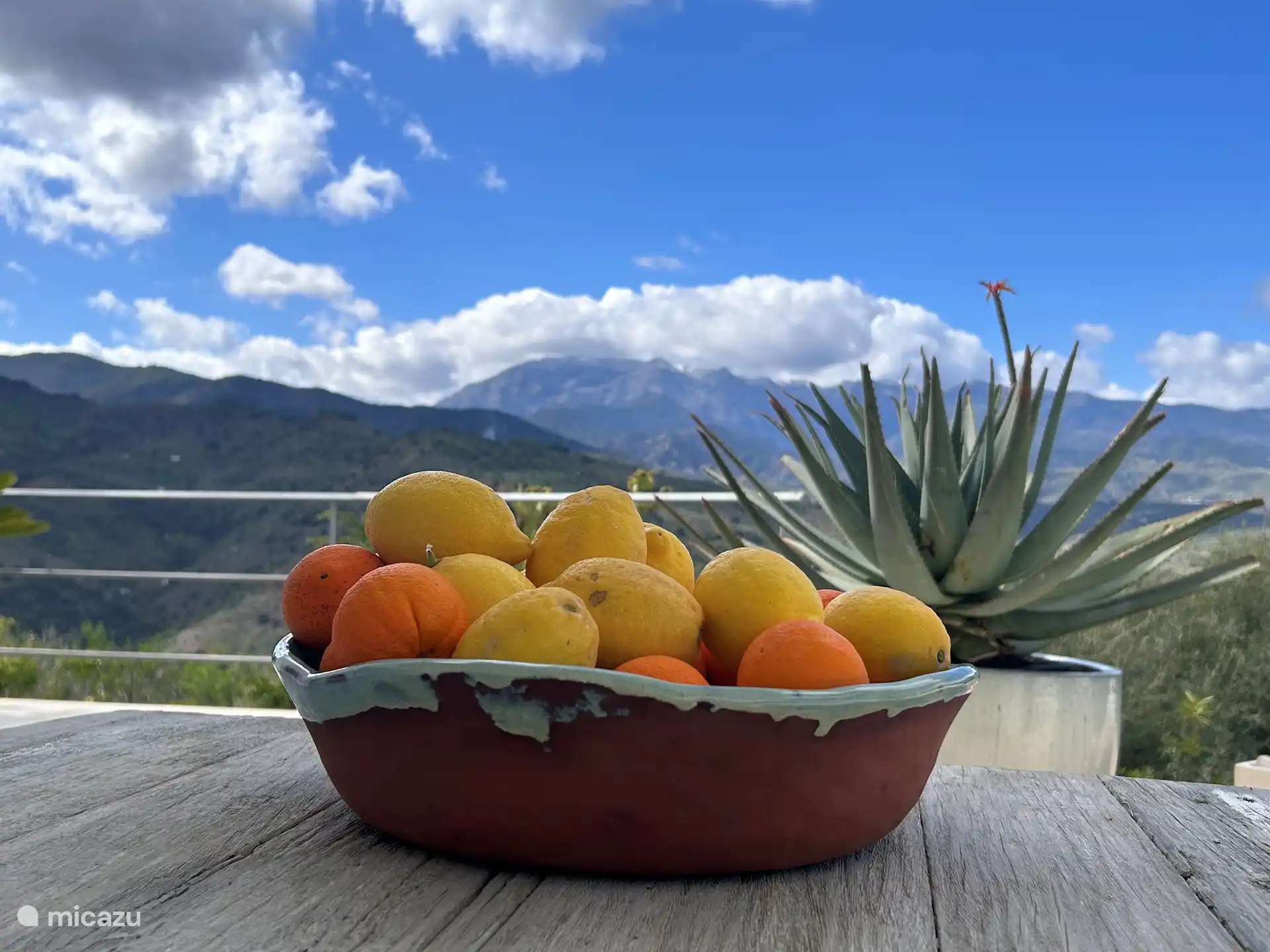 Obst aus unserem eigenen Garten