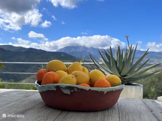 Villa Finca la Roca | Espagne, Andalousie, Guaro - villa Fruits de notre propre jardin
