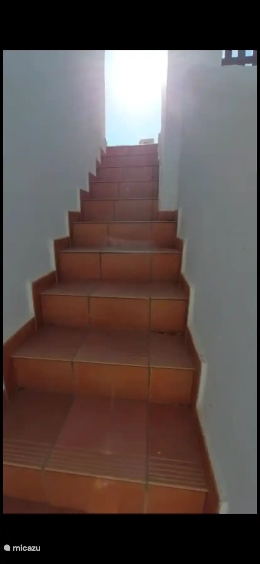 Stairs to roof terrace