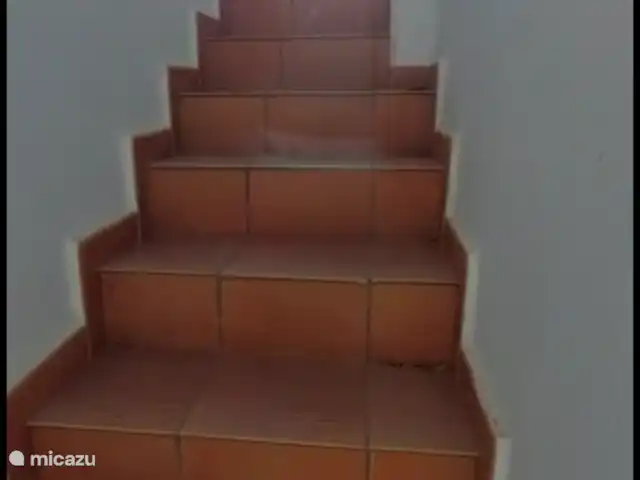 Apartamentos de Familia Thijssen en España, Murcia, Condado de Alhama - apartamento Escaleras a la azotea