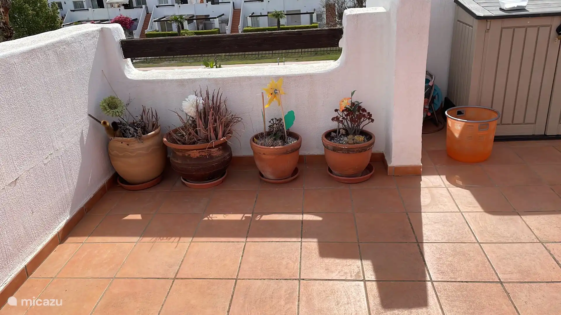 Flower pots roof terrace