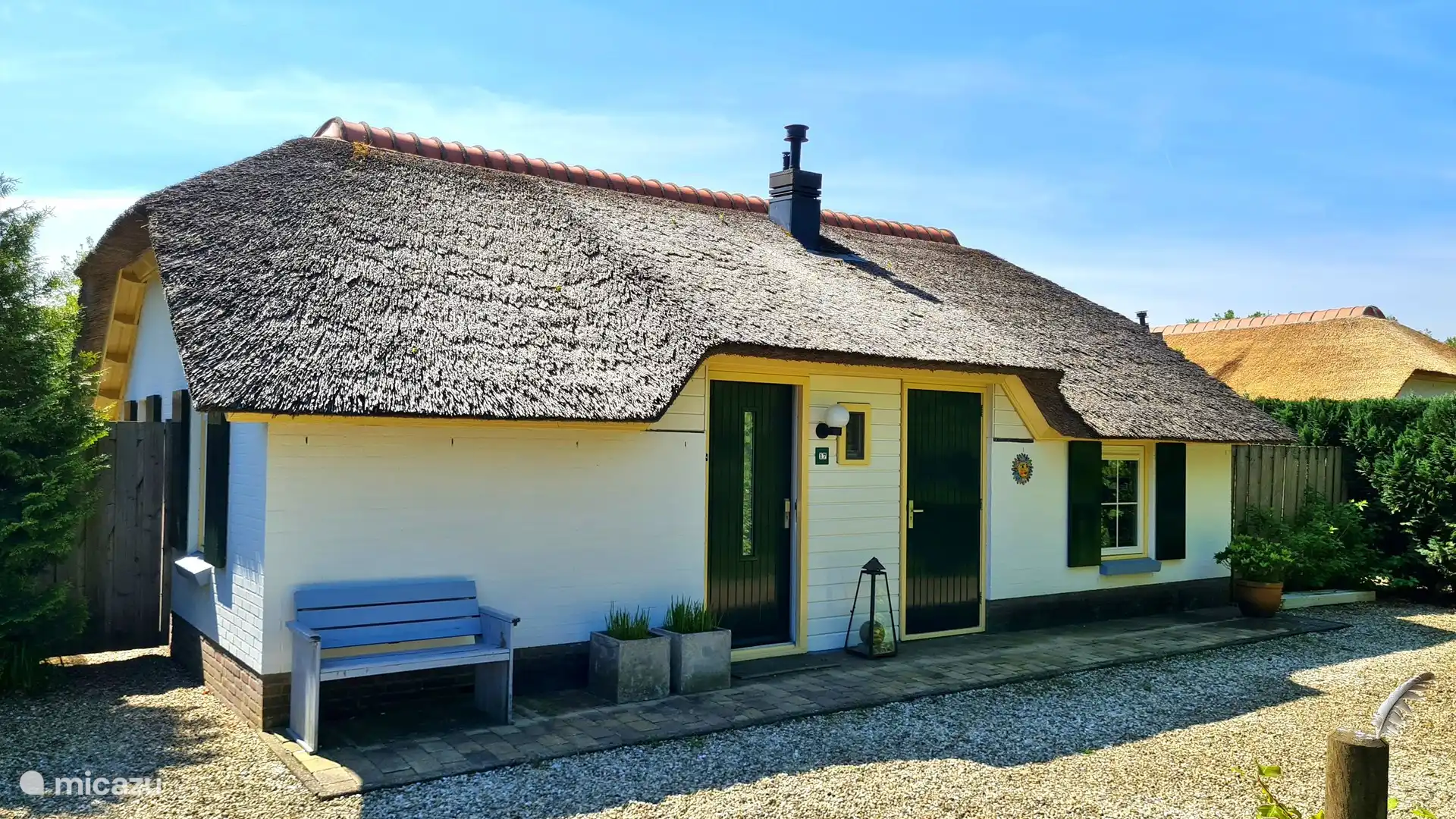 Sonnenblume in Niederlande, Gelderland, Putten - Bungalow