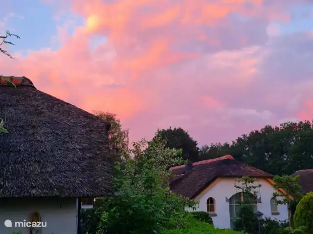 Tournesol | Pays-Bas, Gueldre, Wells - bungalow Coucher de soleil sur le parc.