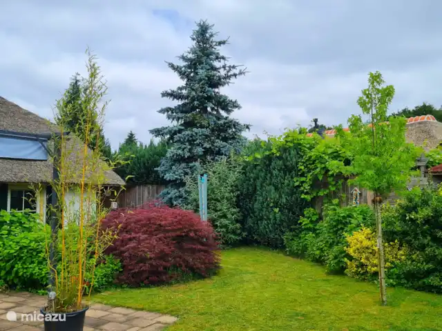 Tournesol | Pays-Bas, Gueldre, Wells - bungalow Jardin.