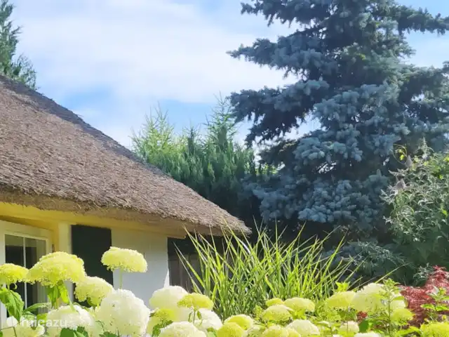 Tournesol | Pays-Bas, Gueldre, Wells - bungalow Côté jardin.