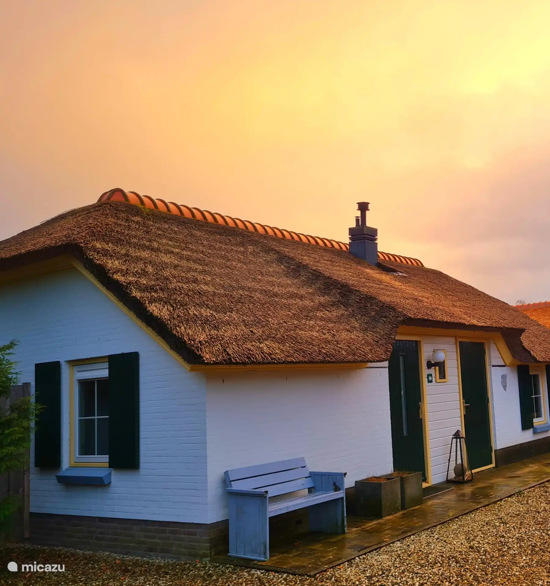 Sonnenblume in Niederlande, Gelderland, Putten - Bungalow