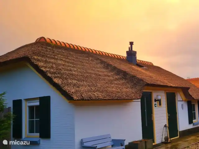 Tournesol | Pays-Bas, Gueldre, Wells - bungalow Devant la ferme