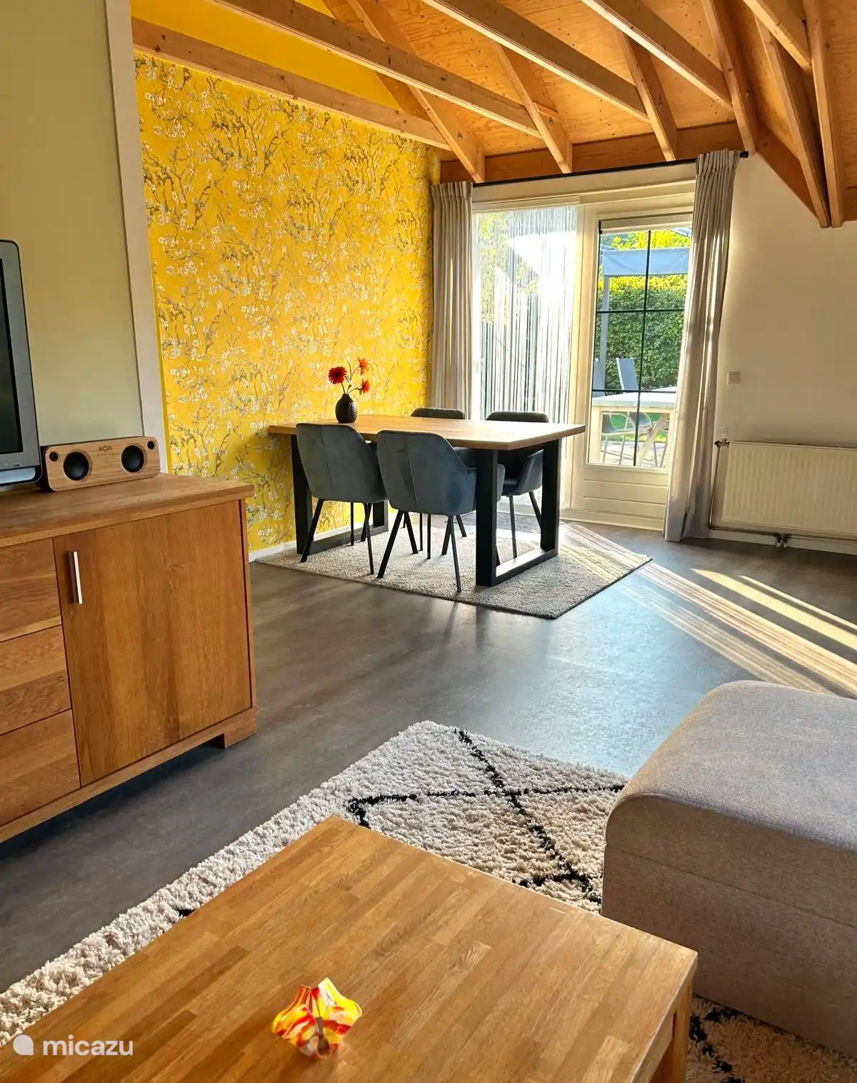 Sonnenblume in Niederlande, Gelderland, Putten - Bungalow