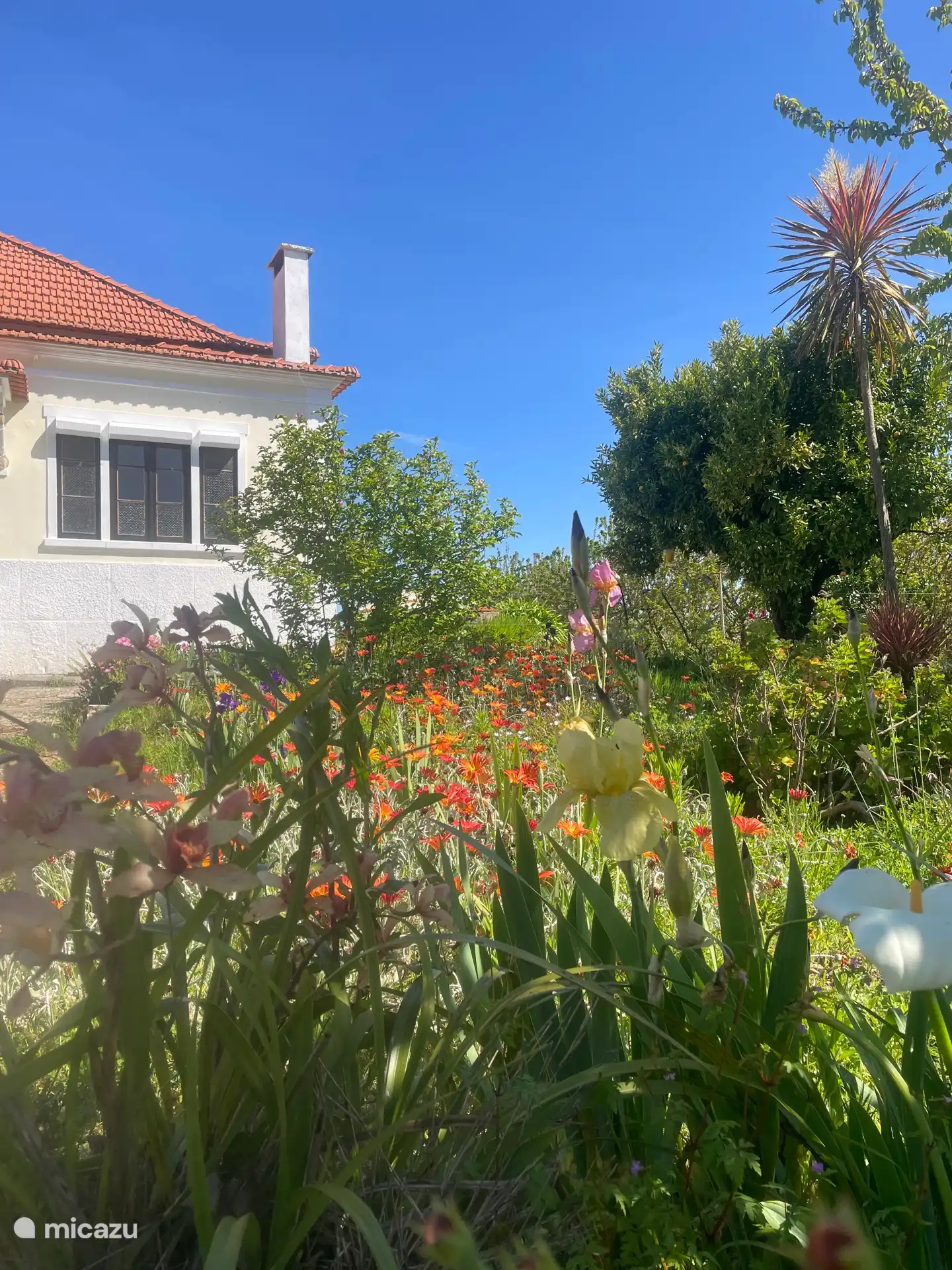 Front, mit Vorgarten