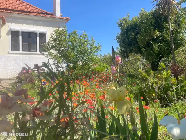 Location de Vacances Portugal, Santarém, Ferreira do Zêzere, ferme - Quinta Pura Natura Devant, avec jardin avant