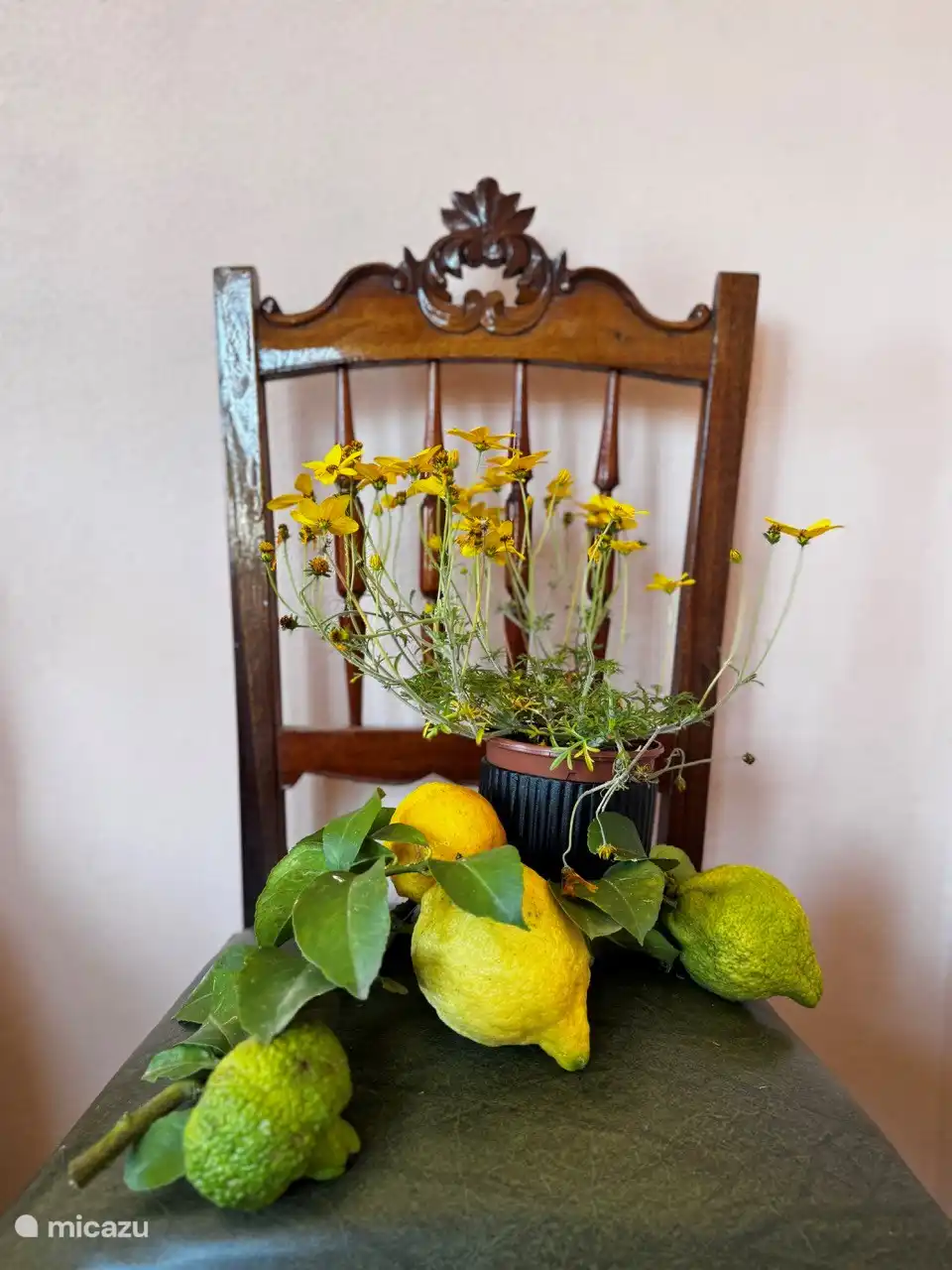 Obst ist zum Mitnehmen da!