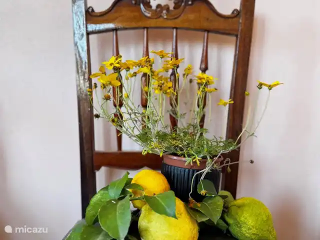 Location de Vacances Portugal, Santarém, Ferreira do Zêzere, ferme - Quinta Pura Natura Les fruits, c’est là pour la prise !