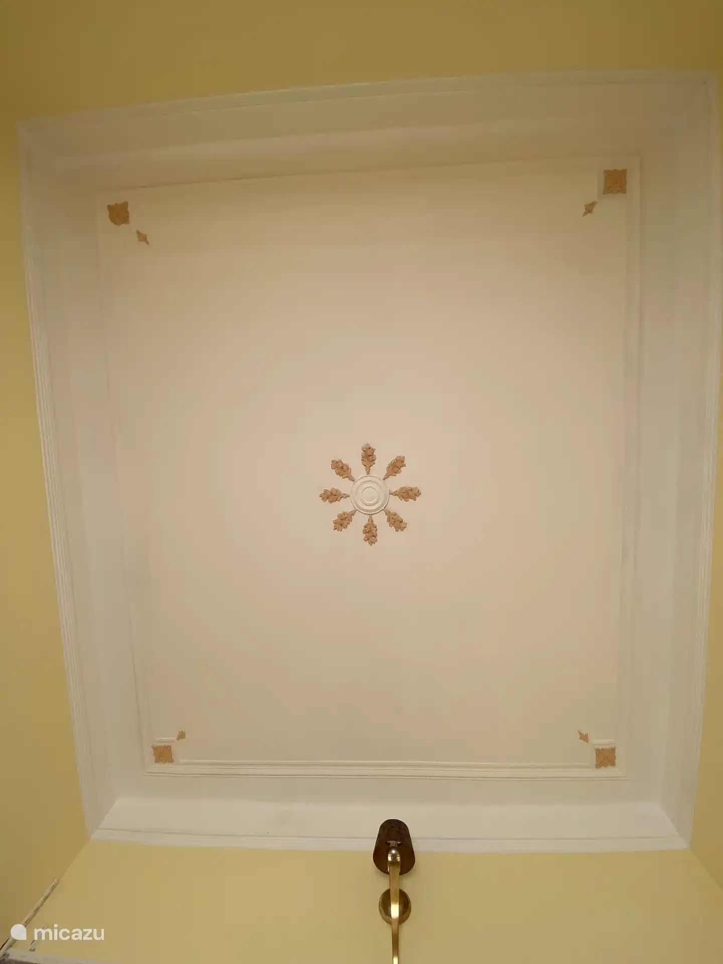 Schlafzimmer 2: Wintergarten
4m hohe Decke mit Maserung, 
in Form von The Sun 