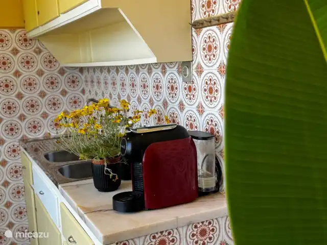 Location de Vacances Portugal, Santarém, Ferreira do Zêzere, ferme - Quinta Pura Natura Cuisine 2 :
Petite cuisine, à l’avant de la maison, avec cheminée confortable