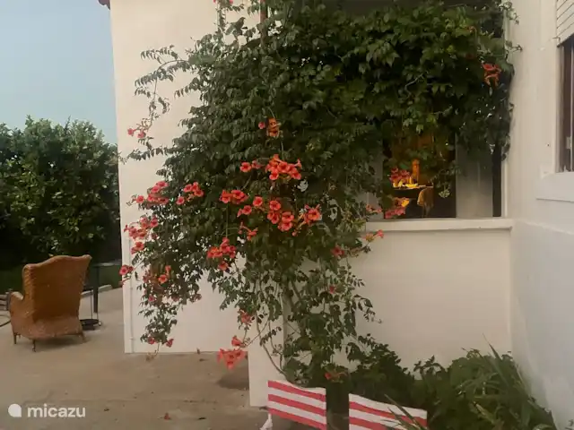 Location de Vacances Portugal, Santarém, Ferreira do Zêzere, ferme - Quinta Pura Natura Entrée de la cour arrière