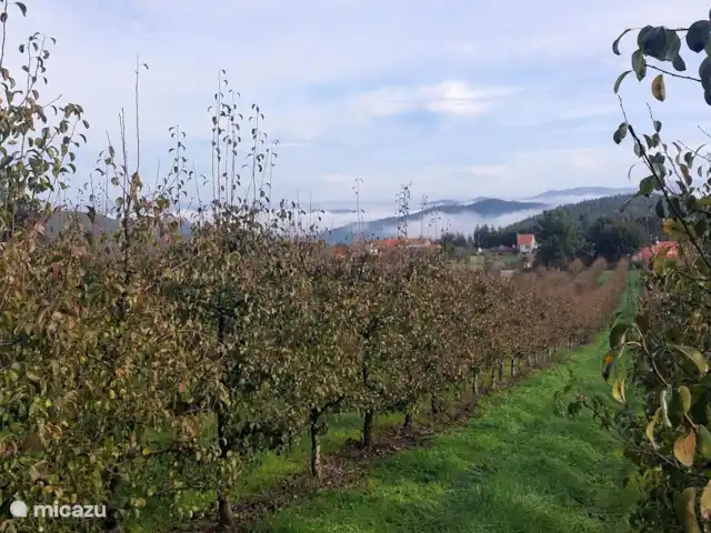 Location de Vacances Portugal, Santarém, Ferreira do Zêzere, ferme - Quinta Pura Natura Vue depuis le verger de poiriers, à 100m de Quinta Pura Natura.