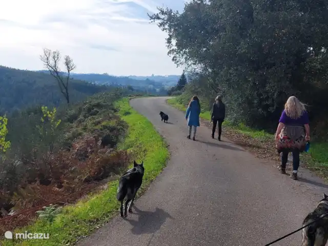 Location de Vacances Portugal, Santarém, Ferreira do Zêzere, ferme - Quinta Pura Natura Faites de belles promenades, directement depuis Quinta Pura Natura