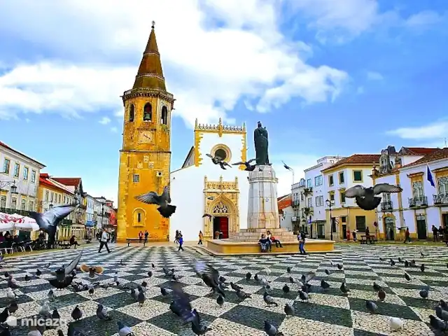Location de Vacances Portugal, Santarém, Ferreira do Zêzere, ferme - Quinta Pura Natura Ville templière historique de Tomar (25 nœuds), avec des châteaux et de nombreuses scènes magiques. Le vendredi, il y a un grand marché et tous les magasins se trouvent ici !