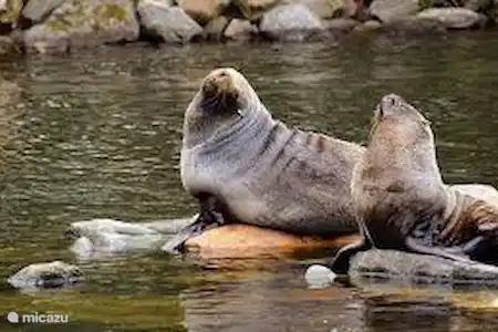 AquaZoo en Leeuwaarden, un hermoso zoológico para todos