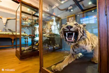 Natuurmuseum Friesland Leeuwaarden