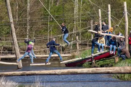 Paseo por el tronco de un árbol