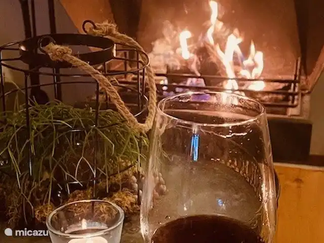 Le front de mer | Pays-Bas, Frise, Sint Nicolaasga - maison de vacances Cheminée confortable