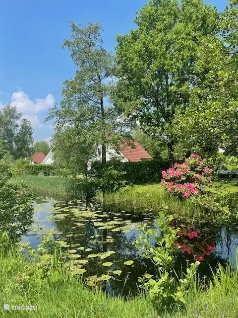 Graben Sie auf der Gartenseite des Hauses. Der Garten ist durch einen niedrigen Zaun abgeschlossen.
