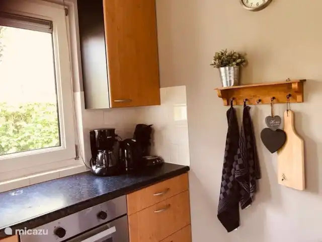 Le front de mer | Pays-Bas, Frise, Sint Nicolaasga - maison de vacances Cuisine avec tous les appareils électroménagers