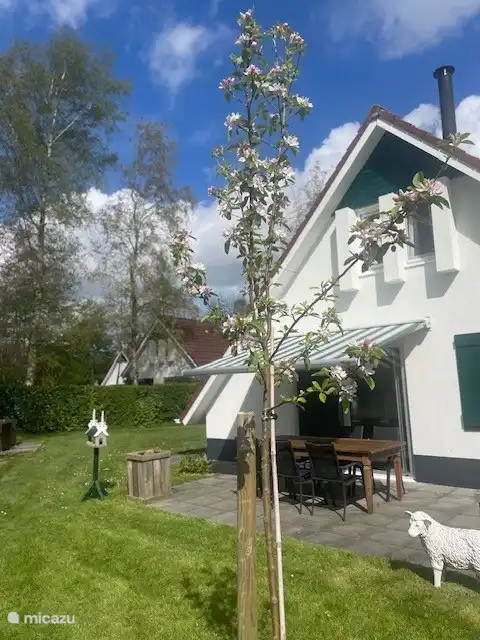 Gartenblick mit Äpfeln im Herbst !
